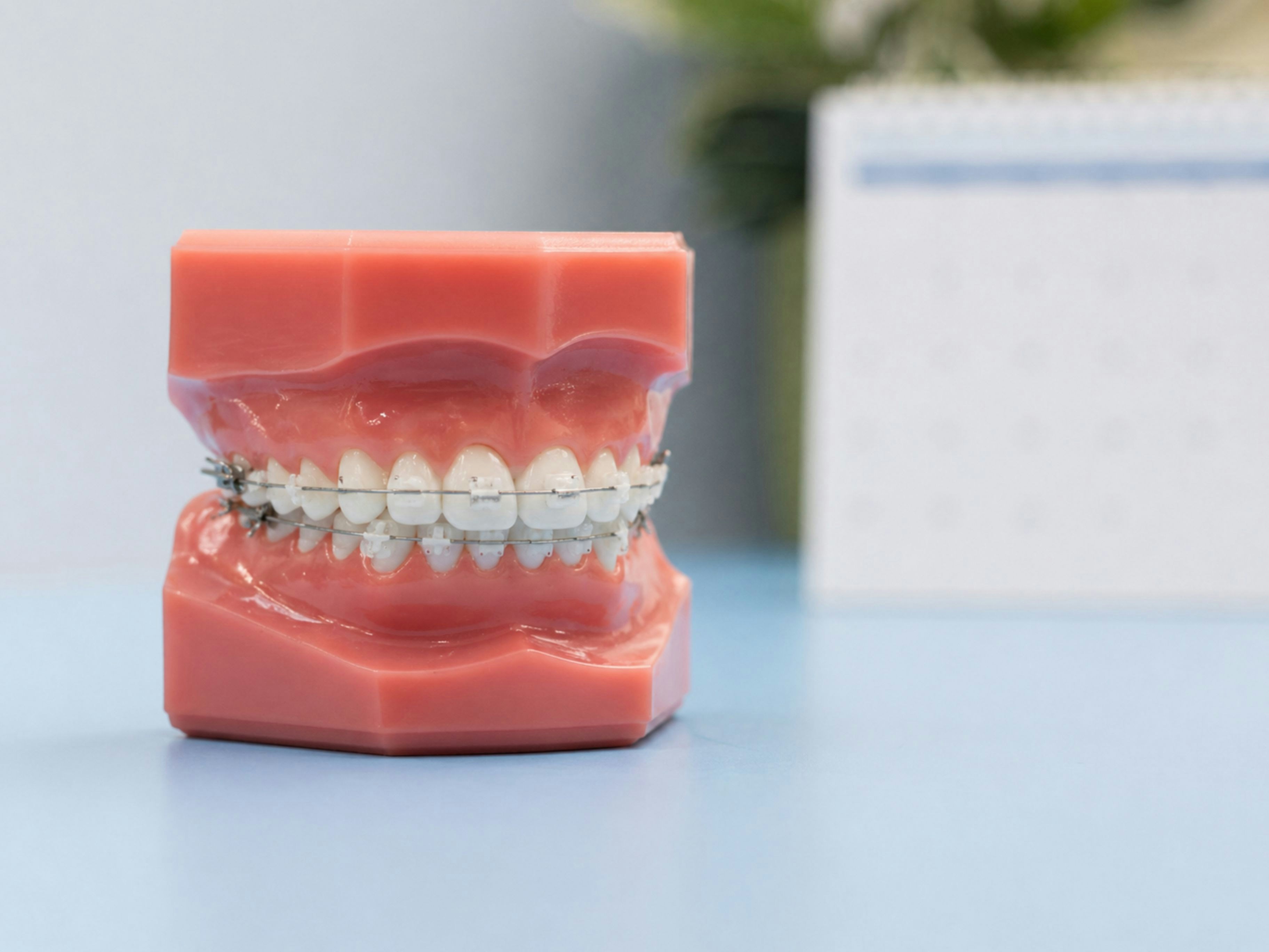 From Gut To Gums: Unlocking The Microbiome’s Impact On Oral Health